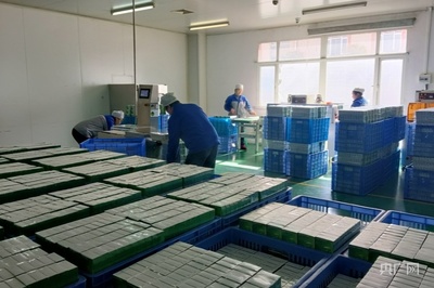 贵州修文铆足"虎"劲推动医药产业高质量发展