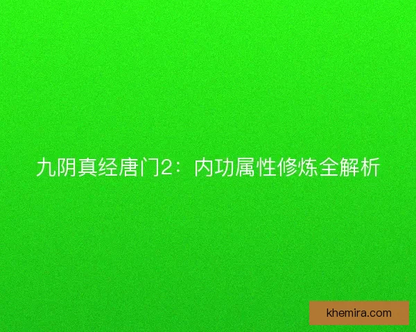 九阴真经唐门2：内功属性修炼全解析