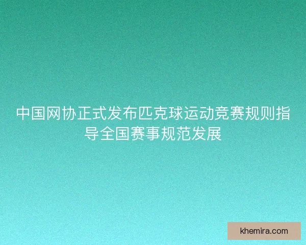 中国网协正式发布匹克球运动竞赛规则指导全国赛事规范发展 中国网协正式发布匹克球运动竞赛规则指导全国赛事规范发展