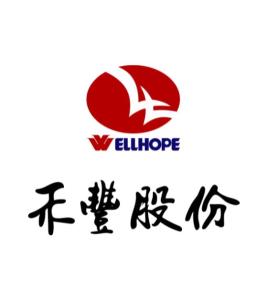 禾丰食品股份
